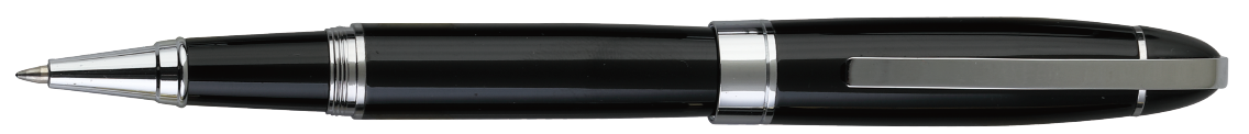 H205 Roller Pen